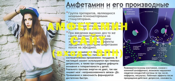 Альфа ПВП Верея