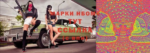 Альфа ПВП Верея