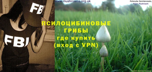 Альфа ПВП Верея
