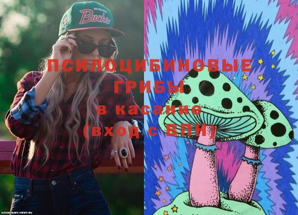 spice Верхний Тагил