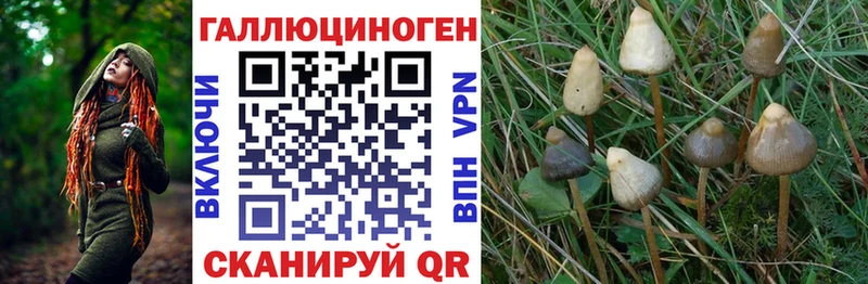 Галлюциногенные грибы мухоморы  гидра как зайти  Катав-Ивановск  купить наркотики сайты 