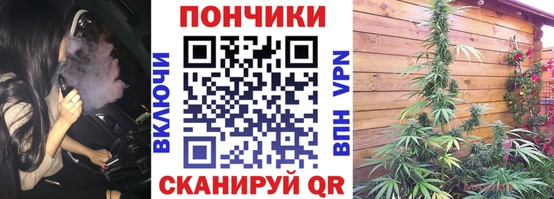 дарнет шоп  Катав-Ивановск  Бошки Шишки гибрид 